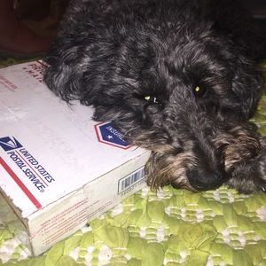 THANKS FOR BUYING MY MOM CLOTHES! MAKE A OFFER!